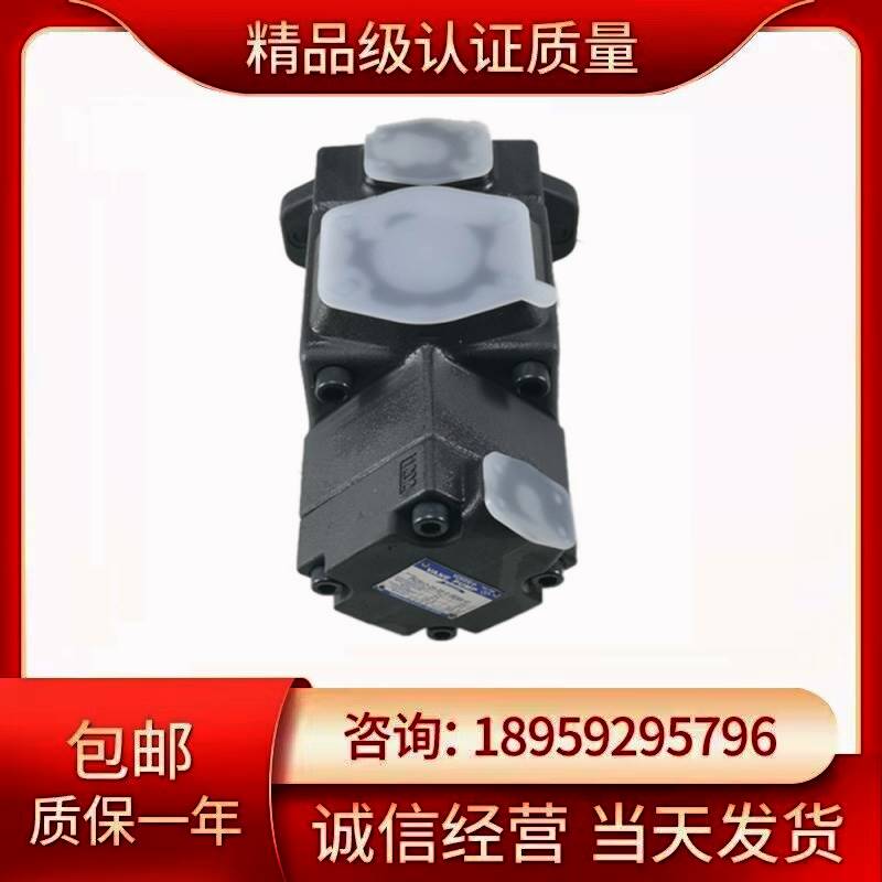 义盛PV2R12-6/8/10/12/14/17/19/23/25/28/31-75-FR 叶片泵液压帮