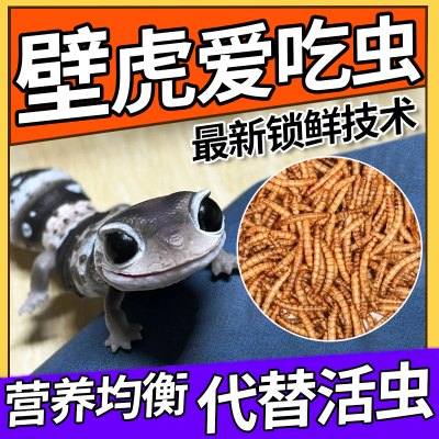 【完美代替活虫】壁虎吃的虫饲料
