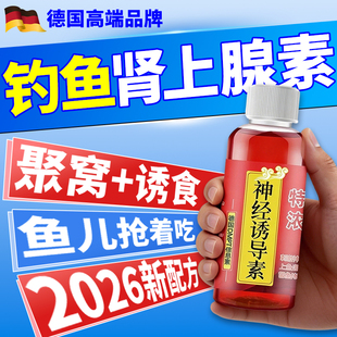 肾上腺素钓鱼专用抢食剂秋冬钓黑坑诱鱼小药鲤鲫草鱼高灵敏开口剂