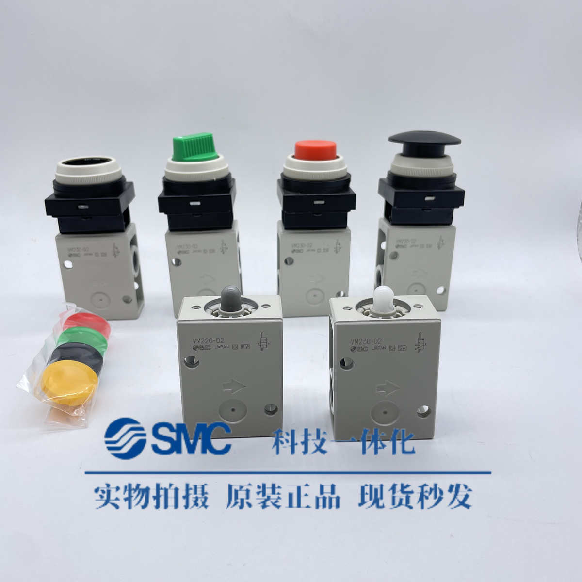 SMCVM220VM23000A01SA02A30RA32GA33A34BAYA