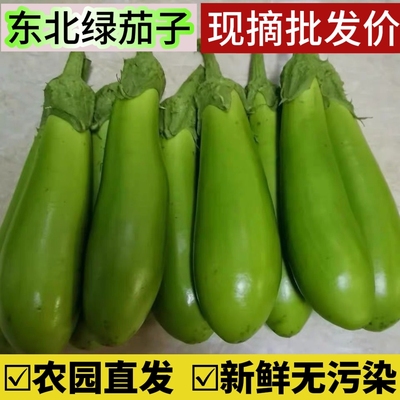 东北新鲜蔬菜绿茄子农家自种生吃大绿茄子长茄子线茄子
