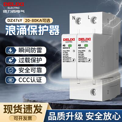 德力西DZ47SY浪涌保护器家用2P防雷模块防雷器4P避雷220V三相二级