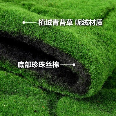 速发青植苔装苔绒草皮石盆景藓饰 植物墙绿植人造装饰假青苔