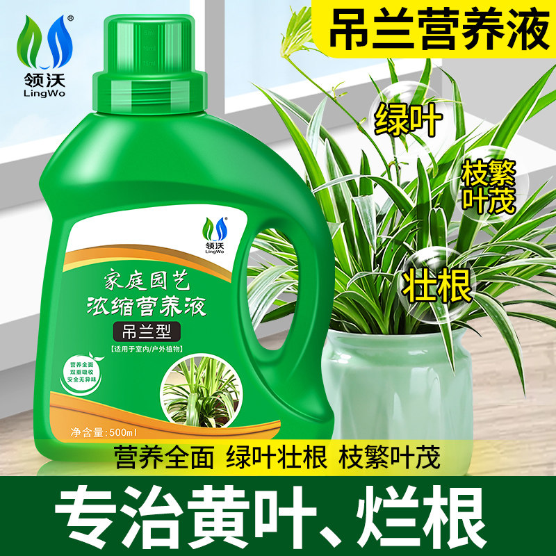 速发土兰营养液肥料专用肥虎边金皮家用水培吊培盆栽植物通用型有