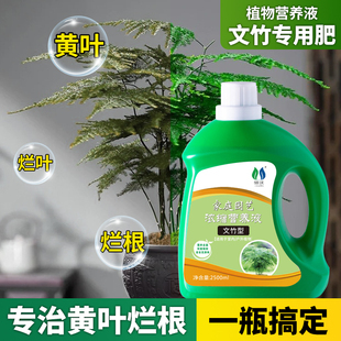 速发文竹营养液治黄栽专用型料家用室内花卉绿植盆叶通用肥浓缩肥