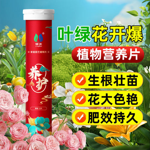 速发植物磷养缓释片家用果蔬盆栽绿植促花养花养花肥通用氮营钾复