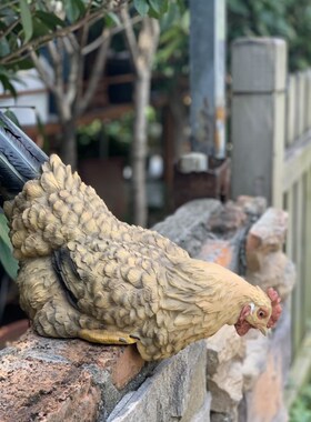 庭院围栏装饰创意名宿农家乐场景花镜装J饰户外仿真动物花园鸡摆