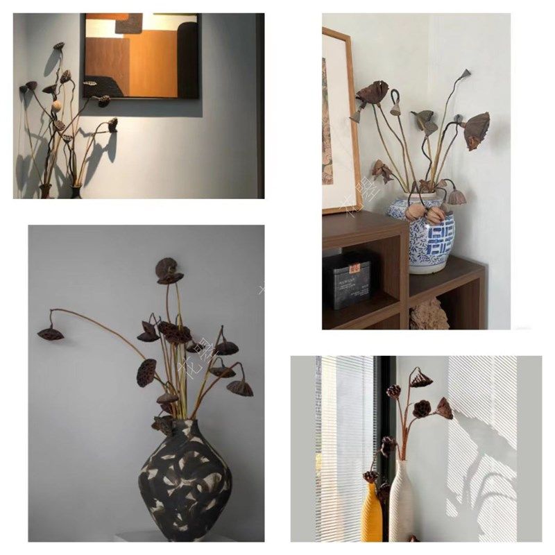 花曌 新鲜莲蓬 新鲜采摘 鲜花水养真花 N家居瓶插花 可做干花,鲜花速递/花卉仿真/绿植园艺,花材,淘宝优惠券,粉丝福利购,淘宝优惠卷