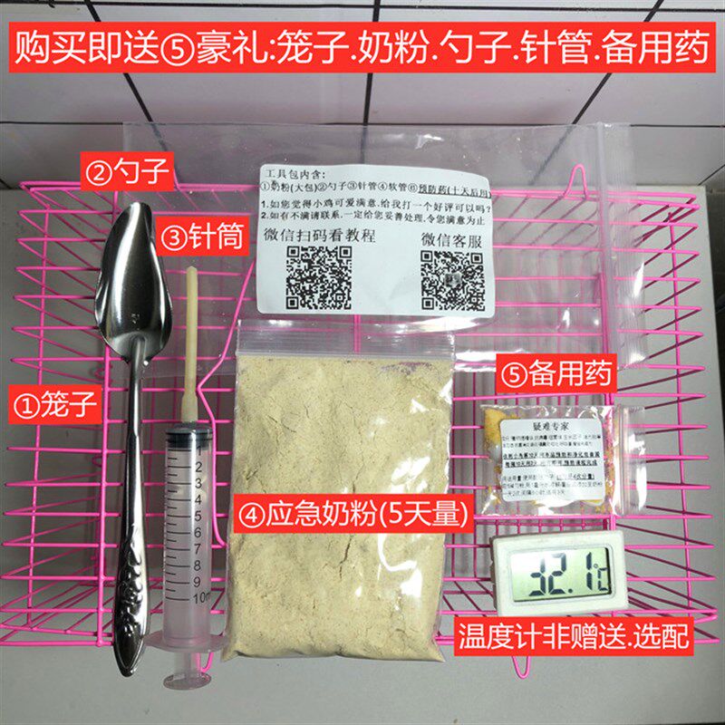 速发手养鹦鹉玄凤幼鸟雏鸟亲人鸡风鹦皮牡丹会说话活物物玄尾虎鹉