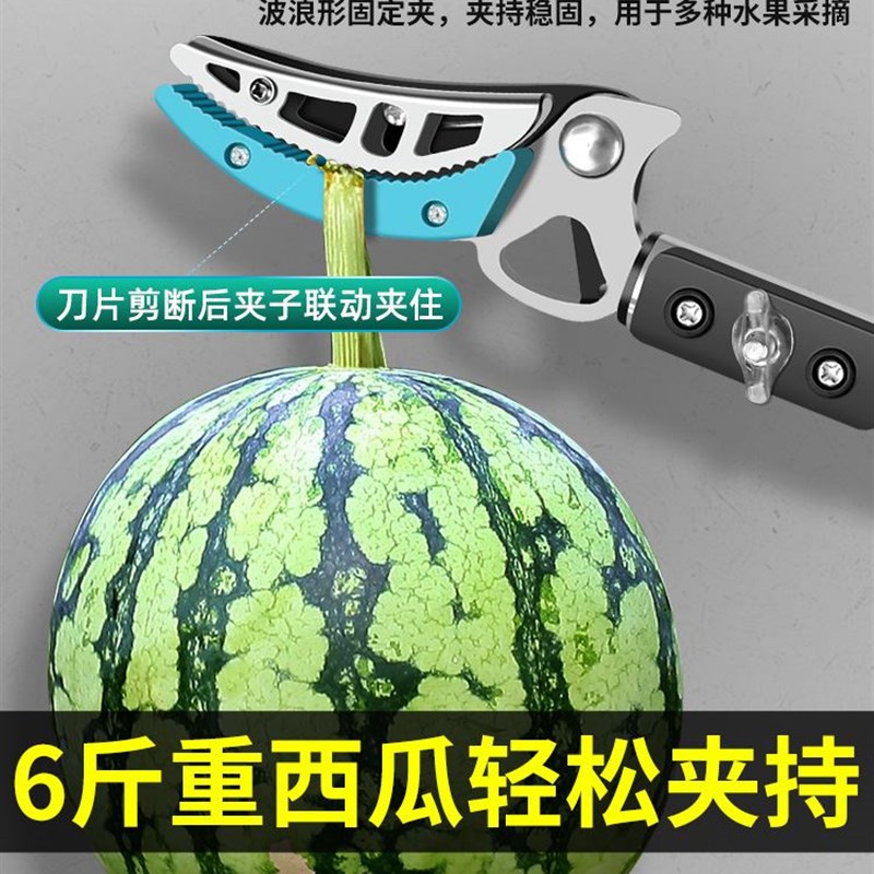 速发摘果器杨梅荔枝枇杷采果剪刀伸缩高空剪摘龙眼神器高枝剪刀摘