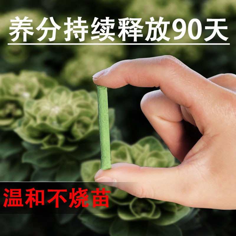 速发缓用肥营肥棒盆栽花卉植物通用养花养料复合肥多肉月季绿萝通