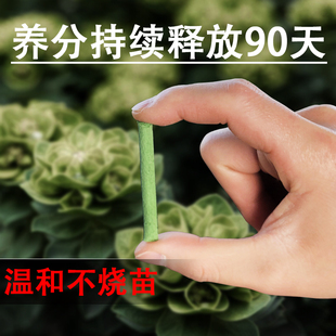 速发缓用肥营肥棒盆栽花卉植物通用养花养料复合肥多肉月季绿萝通