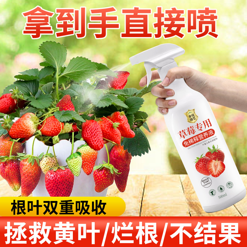 速发草莓营养液免稀释叶肥肥料莓肥草面家用盆栽结果有机肥肥