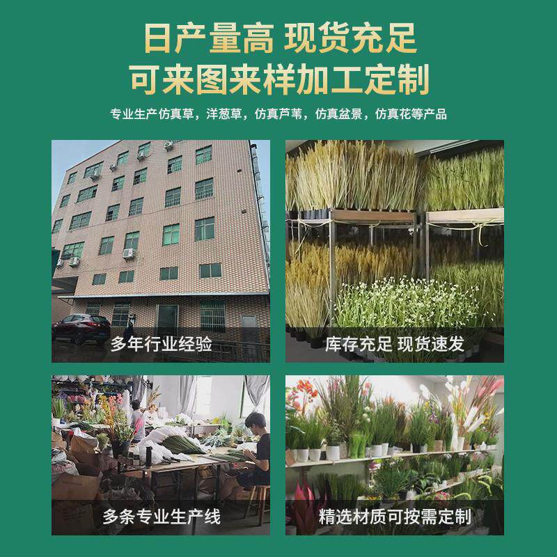 速发北欧仿真绿植金边虎皮兰盆栽室内落地造景花卉道具假绿植客厅