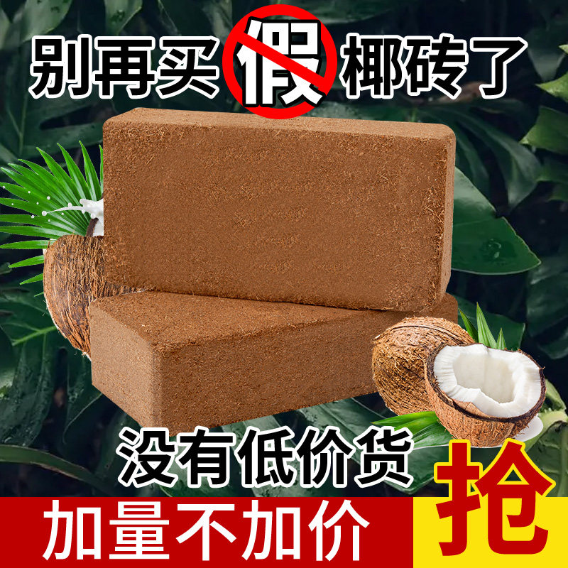 速发脱盐椰砖营养土多肉专用种菜泥花土糠用型植块椰通花卉盆栽种