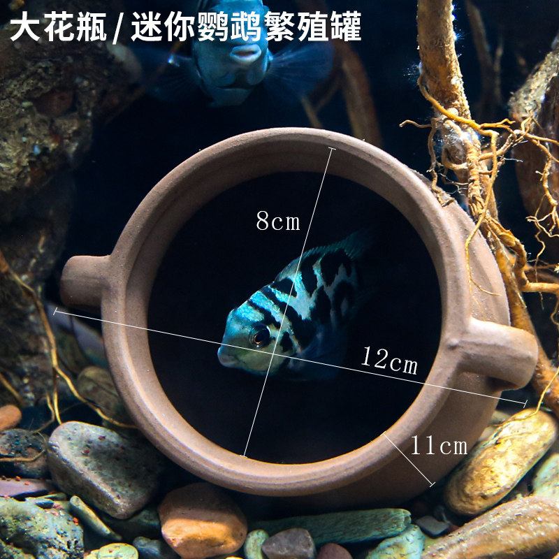 速发迷你鹦鹉鱼繁殖罐躲避罐躲避屋鲷罐鱼缸造景摆件虾屋异型鱼繁