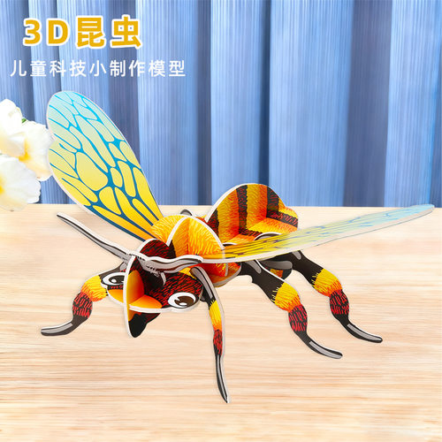 3D昆虫拼装生物模型 科学实验器材科技小制作diy学生生物科普玩具
