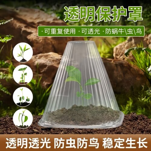 育苗保护罩保温防虫防冻神器