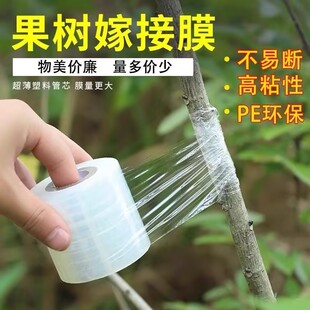 果树嫁接膜专用缠绕膜PE免拆自粘无需打结薄膜园林果树嫁接胶带