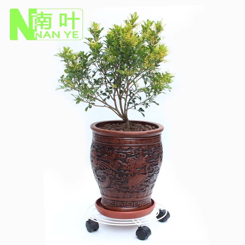 速发 移动花架 移动铁架 花盆托盘 花盆底座 移动托盘 2个