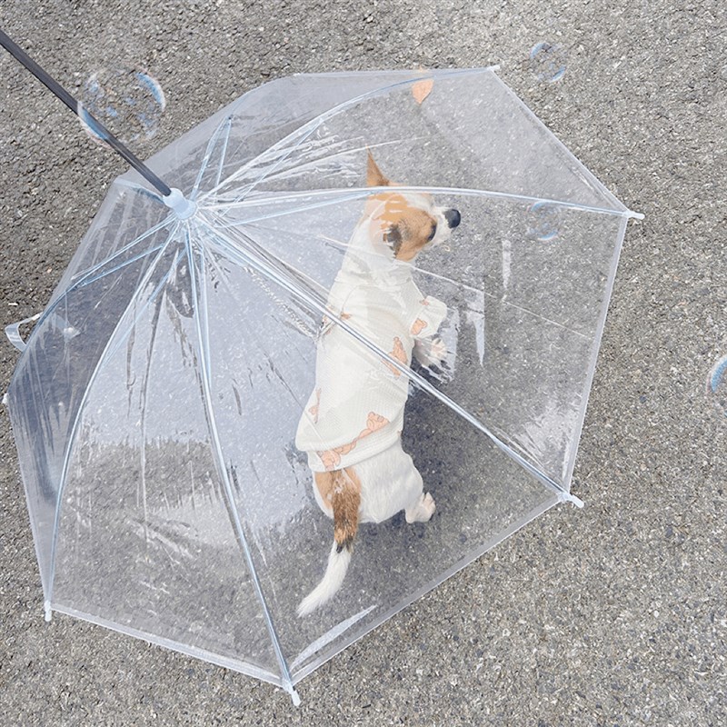 速发雨伞下雨遛狗神器柯基雨衣狗用雨伞透明泰迪中小型犬
