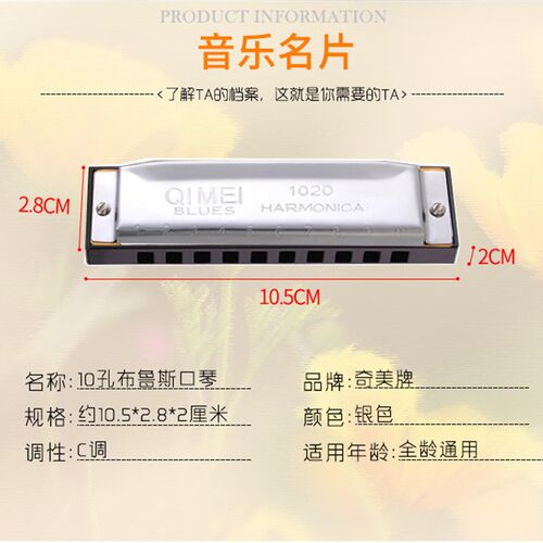 速发口琴10孔布鲁斯口琴C调儿童口琴成人口琴