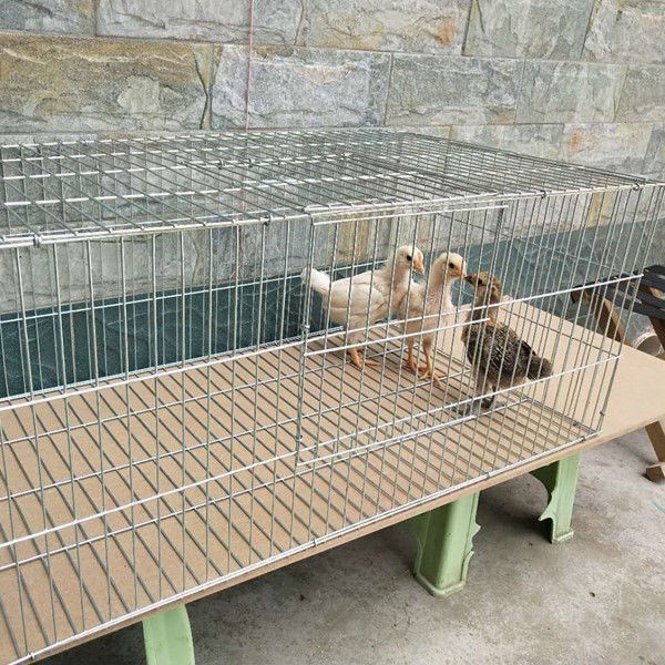 现货速发狗笼狗子笼家用猪笼?鼠笼松鼠笼兔窝兔笼子特大号家用笼
