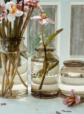 快速发货北欧inks风现代简约高透茶棕色玻璃水培干鲜花束百合家居