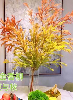 黄金香柳千层金h水培植物鲜切枝室内桌面客厅装饰插花水养绿植顺
