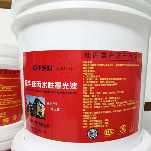 高光罩光漆彩绘墙涂料光r油亮光哑光水性透明硅丙水性罩面漆罩光