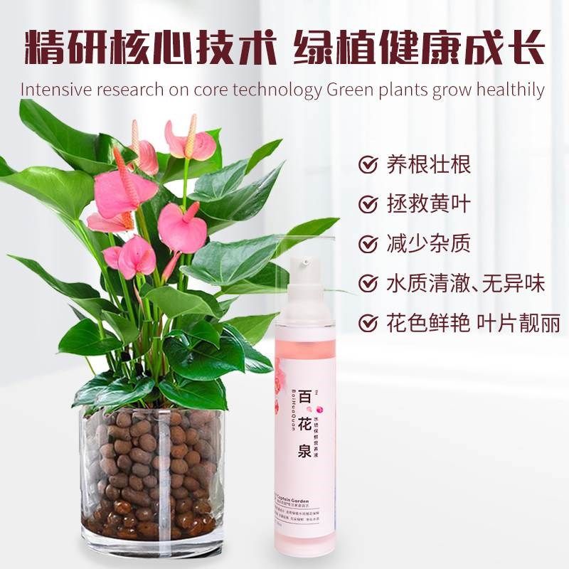 百花泉水培c营养液绿萝植物富贵竹发财树花卉盆栽通专用型液体肥,鲜花速递/花卉仿真/绿植园艺,家庭园艺肥料,淘宝优惠券,粉丝福利购,淘宝优惠卷