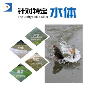 新品 洪荒之力 添加剂针对肥水臭底特定水体王R海宁刘晓春钓箱私