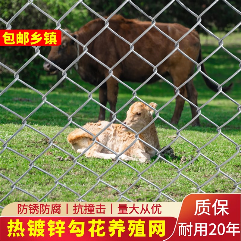镀锌铁丝网围h栏勾花网养殖牛栏网护栏网养鸡防护隔离网养狗钢丝