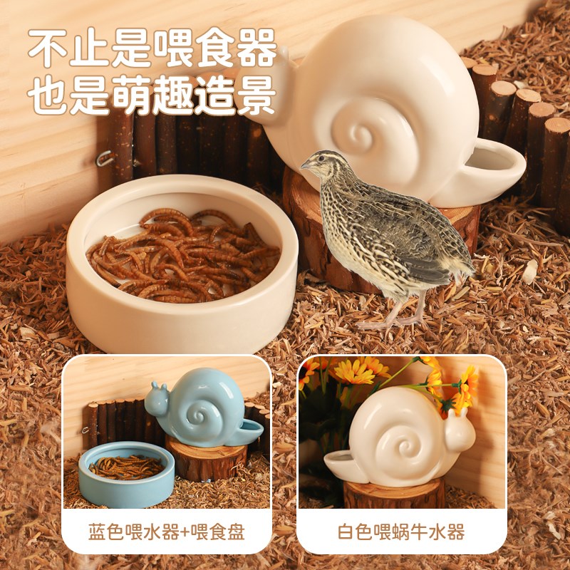 芦丁鸡喂食器小鸡雏鸡食碗鹌鹑柯尔鸭陶瓷防侧翻食槽盆饮水器水槽