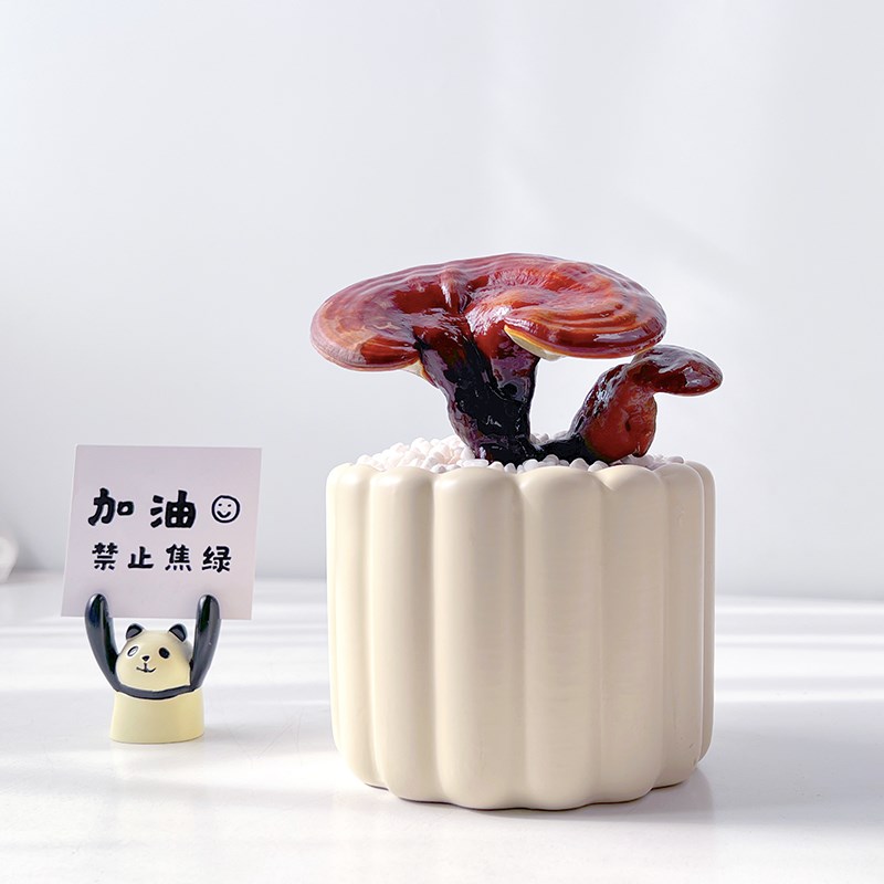 灵芝盆栽北欧风简约家居桌面办公室绿植送人礼品寓意招财盆景花卉