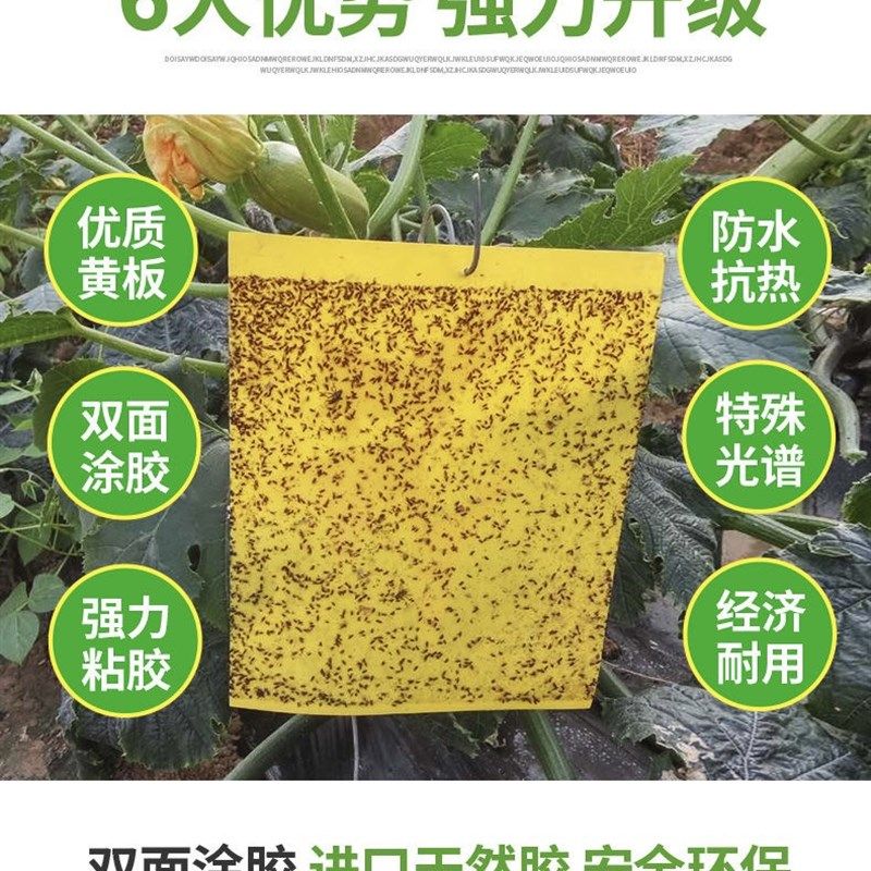 粘虫板双面黄板蓝板农用家用粘虫纸家用大棚小黑飞蓟马防水送扎丝,鲜花速递/花卉仿真/绿植园艺,其它园艺用品,淘宝优惠券,粉丝福利购,淘宝优惠卷