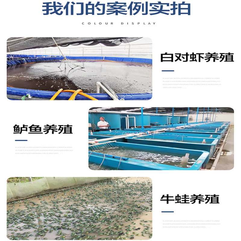 锦鲤鱼池白对虾牛蛙养殖加热棒水池加热保温器自动恒温省电加热棒