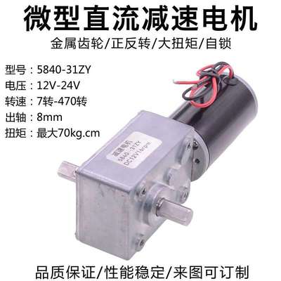 微型直流蜗轮蜗杆齿轮减速电机12V24V自锁双出轴正反转可调速马达