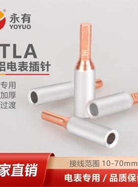 电表铜铝插针GTLA-10 16 25 35 50平方铜铝过渡接线端子铜线接头