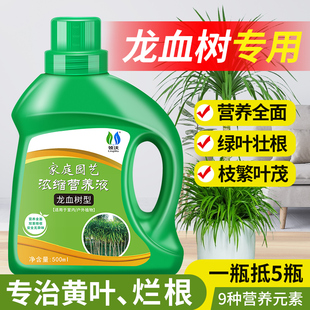 速发龙血树专用肥料营内液通须树绿植盆栽植物室养绿植龙用型氮磷