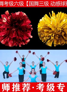 速发文旅动人才中心中国手艺术考级第三级部感球球操舞蹈道具舞球