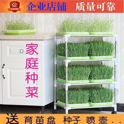 速发台立体种植立柱式无土栽培设备蔬菜卉花物植气雾培定植杯,鲜花速递/花卉仿真/绿植园艺,育苗盘/营养钵,淘宝优惠券,粉丝福利购,淘宝优惠卷