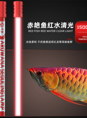 龙鱼专用发色灯诱色增色仟鱼T5鱼缸原子灯nec金龙红龙鱼灯潜水灯