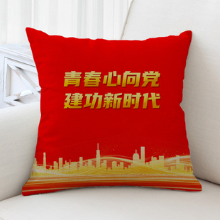 共青团周边团务用品抱枕青年之家会议活动办公室靠垫来图logo定制