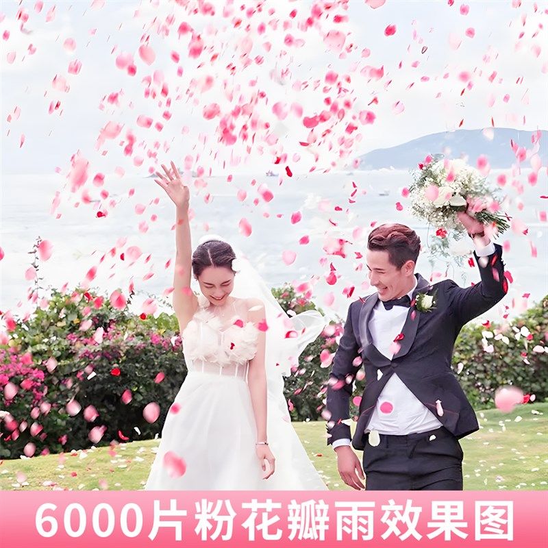 花瓣雨结婚礼炮礼花筒手持接亲晨袍拍照氛围感道具结婚庆用品大全,节庆用品/礼品,拉花,淘宝优惠券,粉丝福利购,淘宝优惠卷