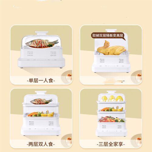 110V220V伏电压电蒸锅蒸汽锅家用三层电蒸笼早餐机出口新马美加日