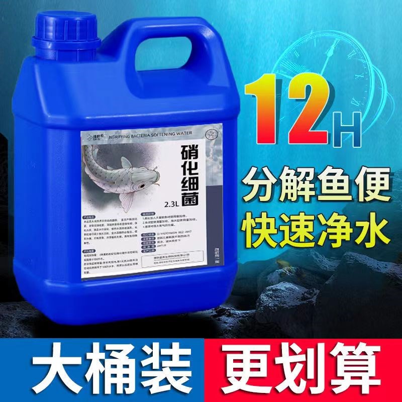 硝化鱼缸用净水稳定剂免换水硝化菌活菌净化水质懒人养鱼用品
