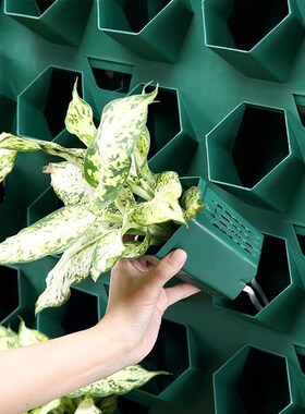 绿植墙真绿植阳台挂式花架壁挂式庭院立体垂直绿化种植植物墙花盆
