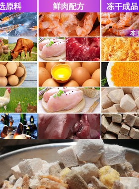 猫粮幼猫成猫通用猫粮试吃装营养官方旗舰店正品全价冻干猫粮