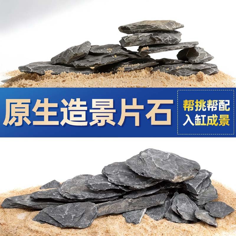 鱼缸造景石头青龙石原生溪流片石黑金石松皮石乌龟南美缸草缸装饰,宠物/宠物食品及用品,造景/装饰,淘宝优惠券,粉丝福利购,淘宝优惠卷